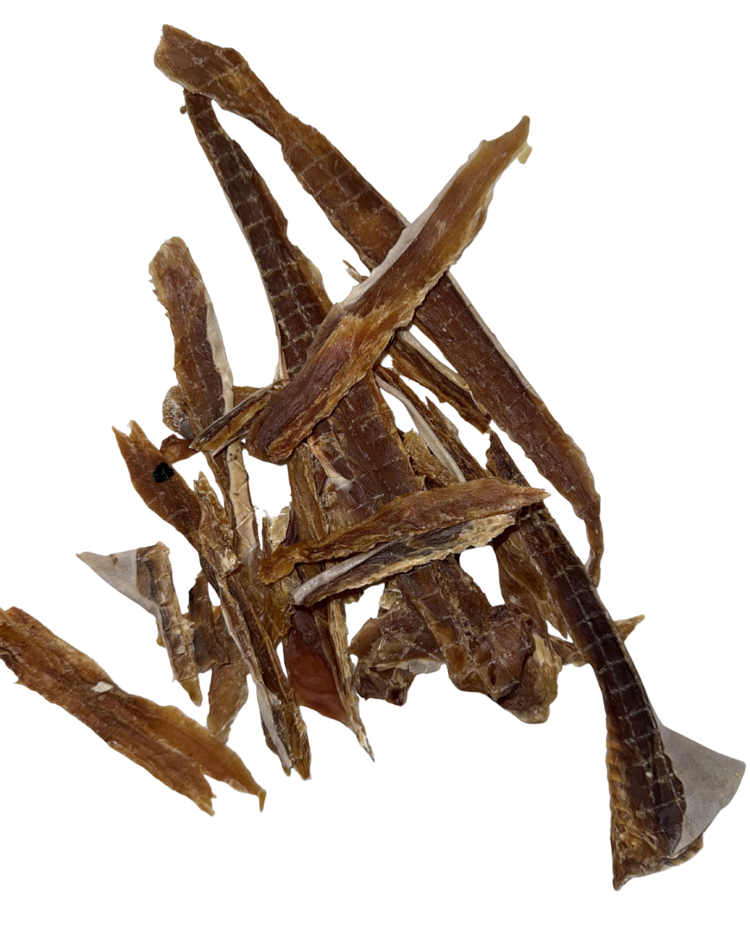 Shark Jerky