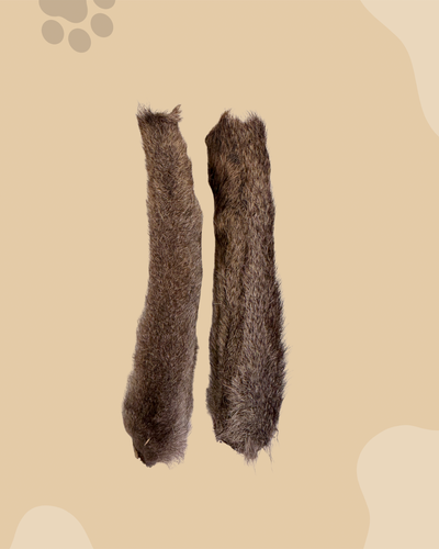Kangaroo Tail - Fur On