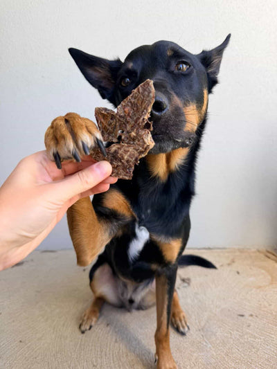 Venison Diced Jerky