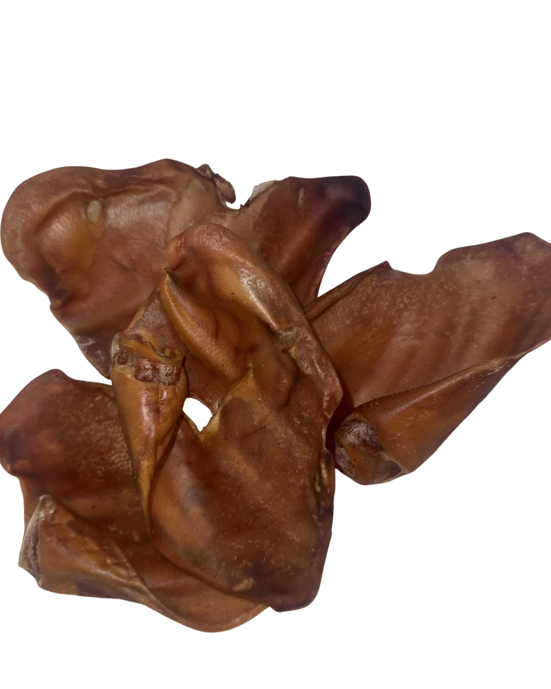 Pigs Ear