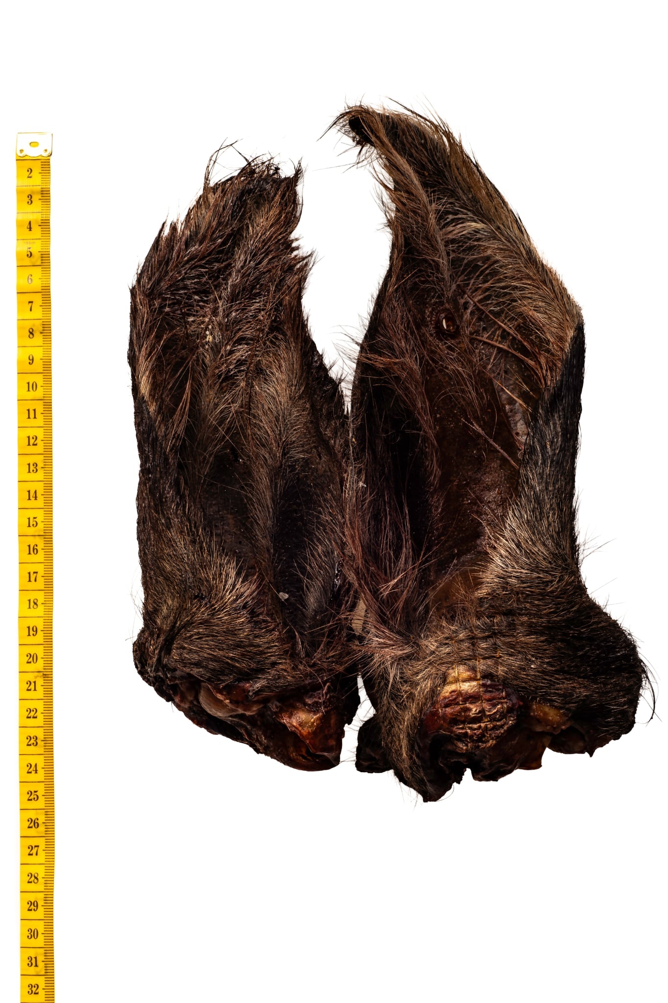 Beef Ears
