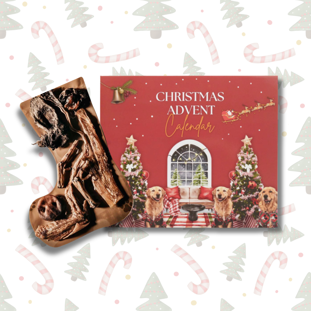 Christmas Advent Calendar + Stocking Bundle