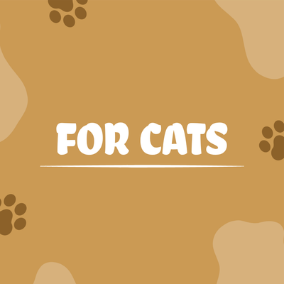 For Cats