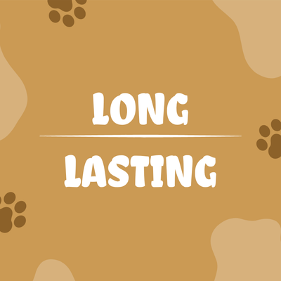 Long Lasting