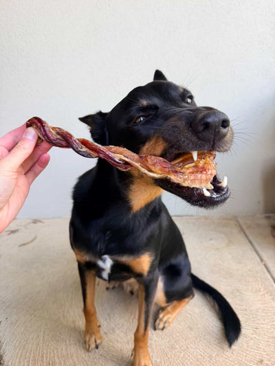 Braided Bully Sticks