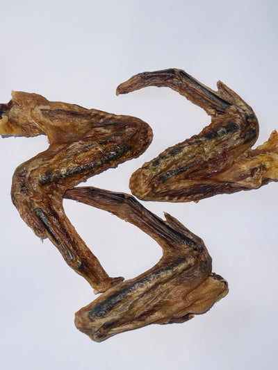 Duck Wings