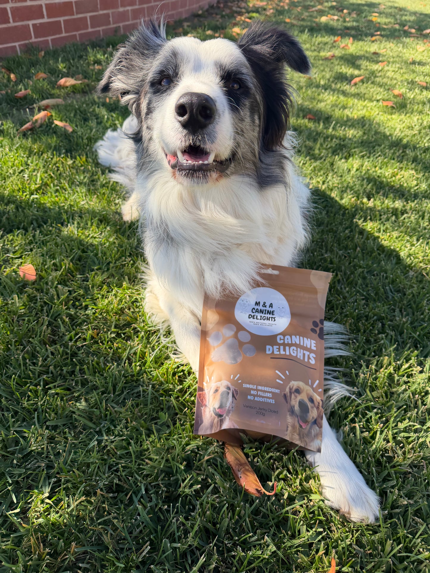 Venison Diced Jerky