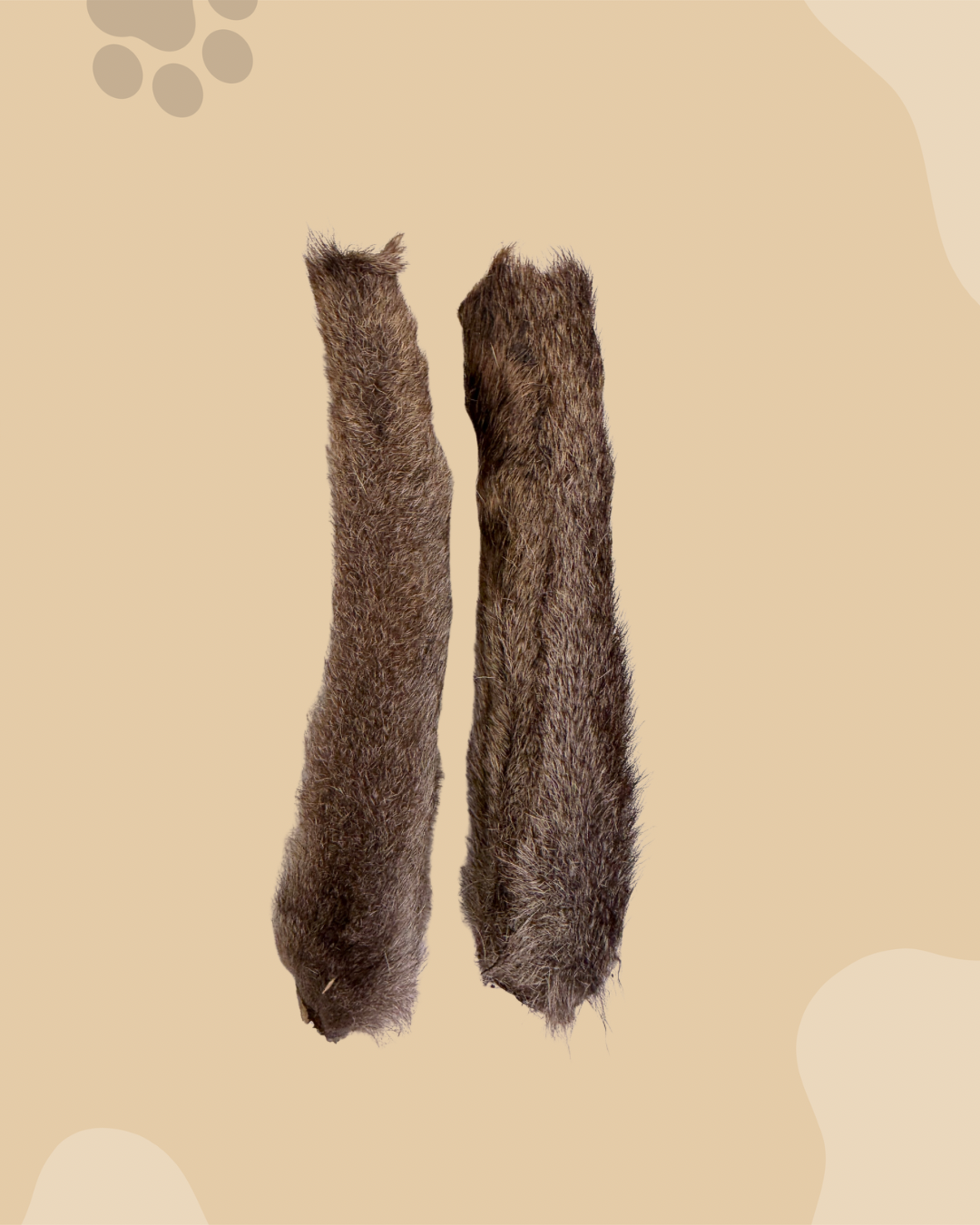 Kangaroo Tail - Fur On