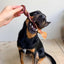 Braided Bully Sticks