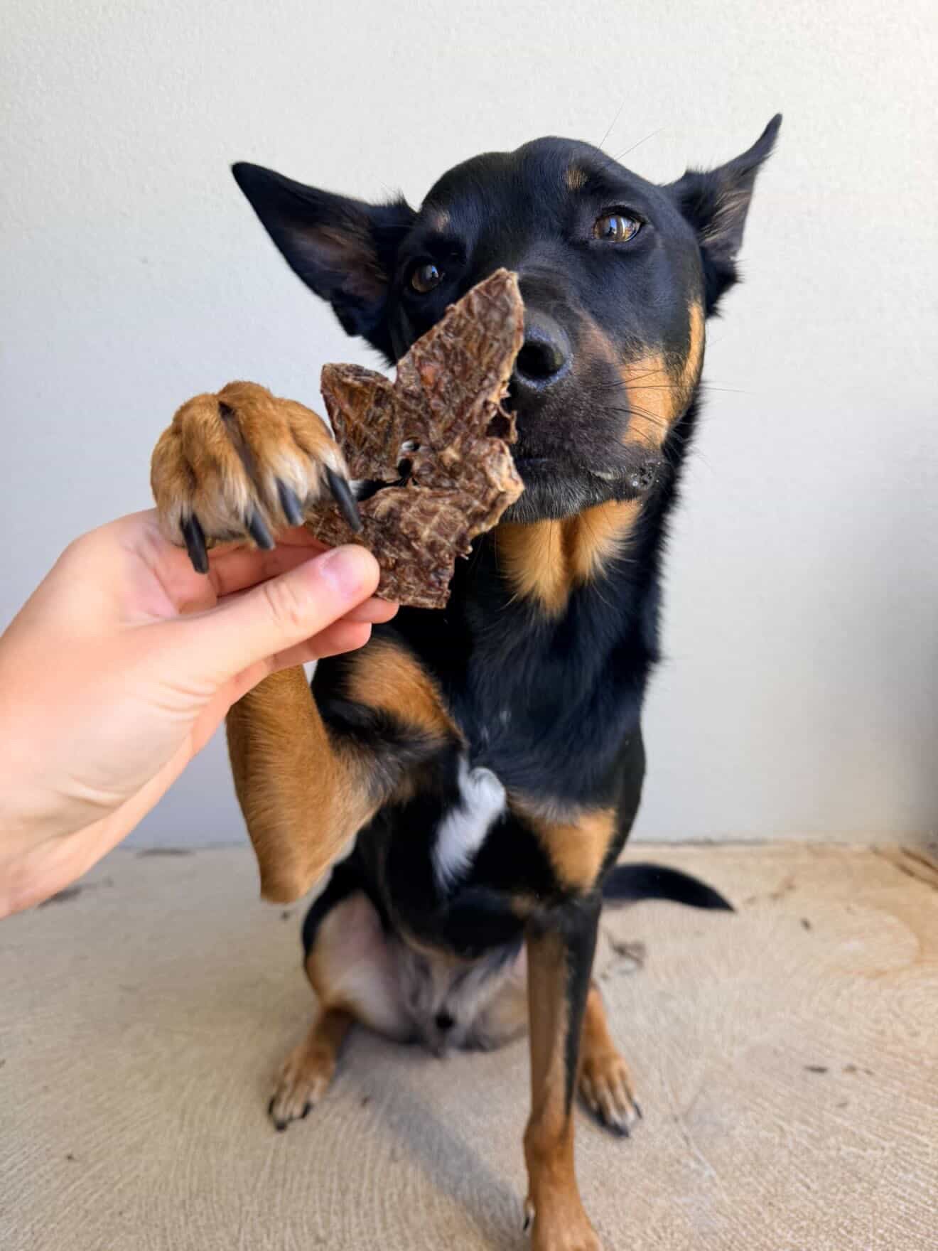 Venison Diced Jerky