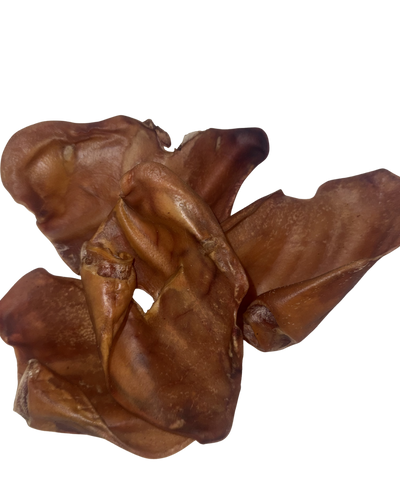Pigs Ear