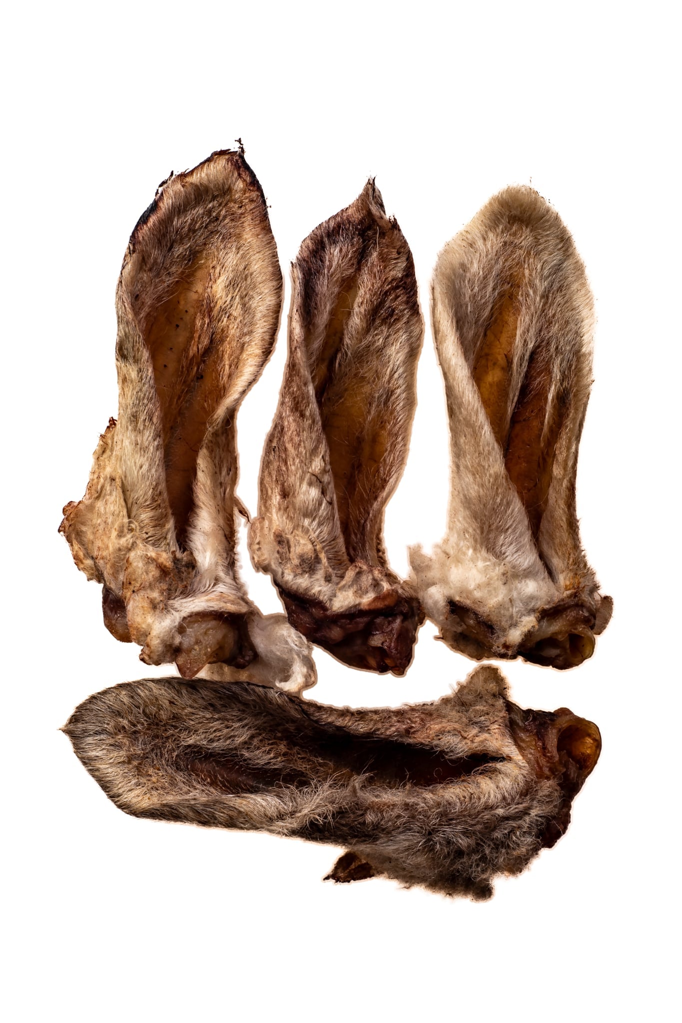Lamb Ears