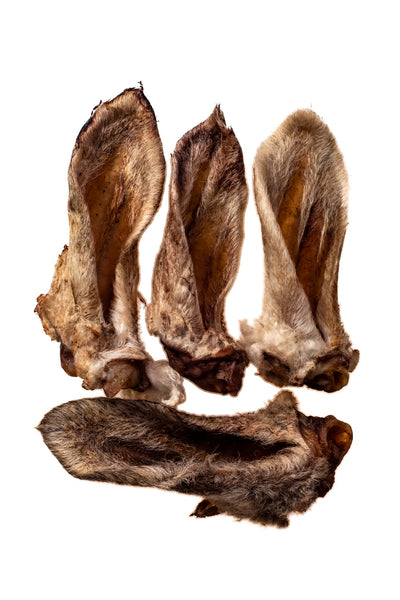 Lamb Ears