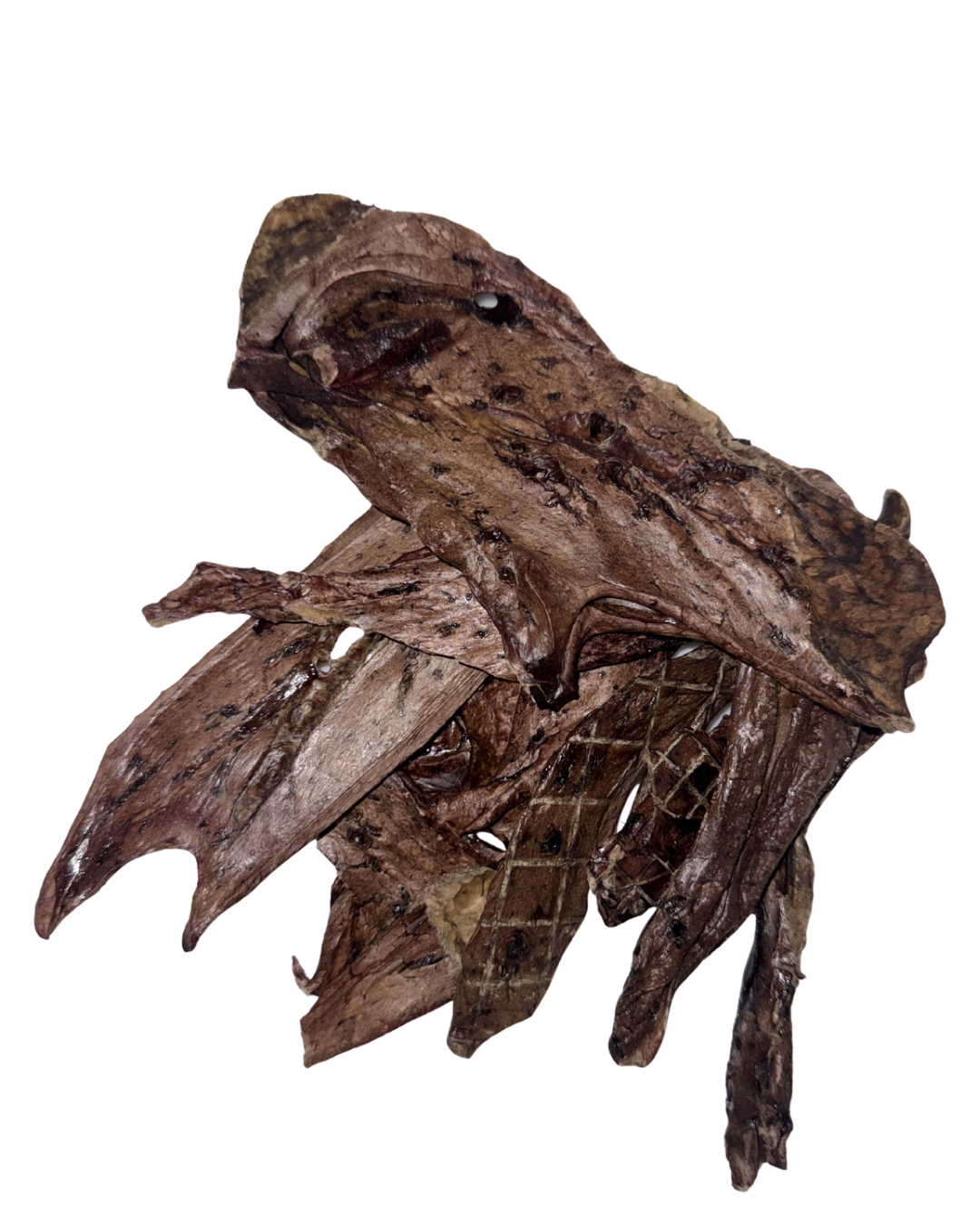 Beef Lung