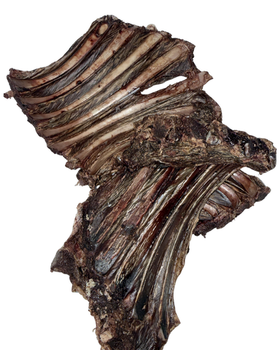 Venison Ribs