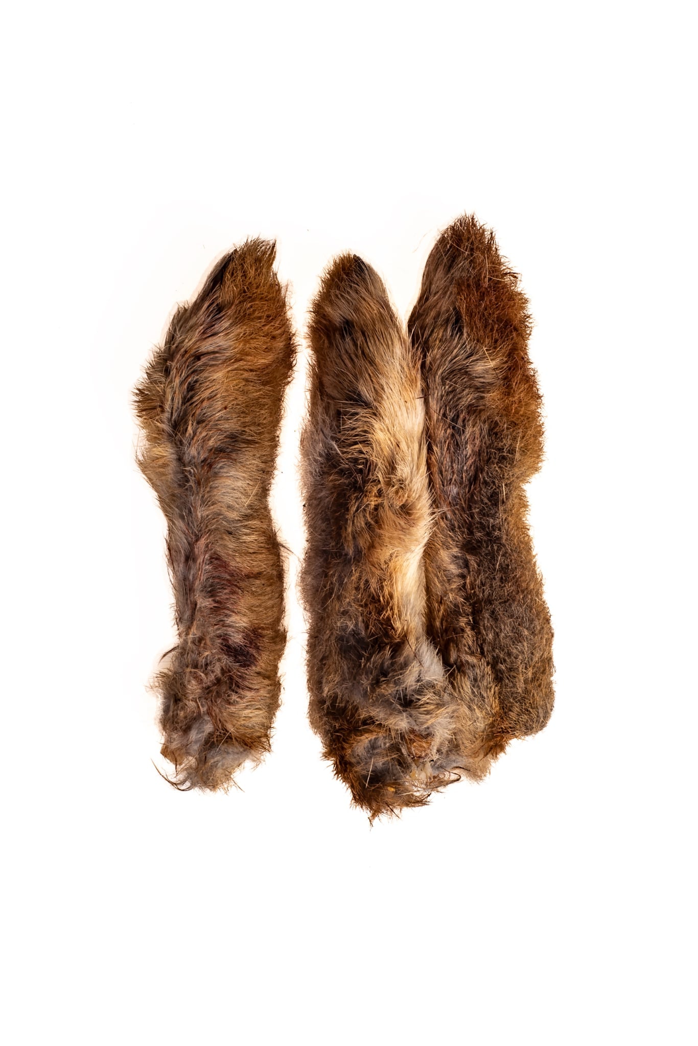 Rabbit Legs