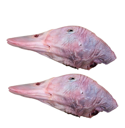 Raw Duck Heads - 10kg