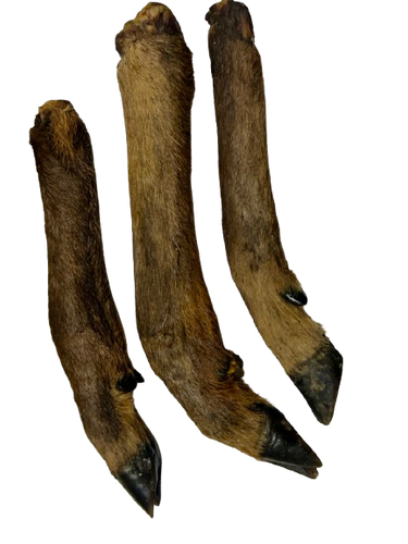 Raw Deer Feet