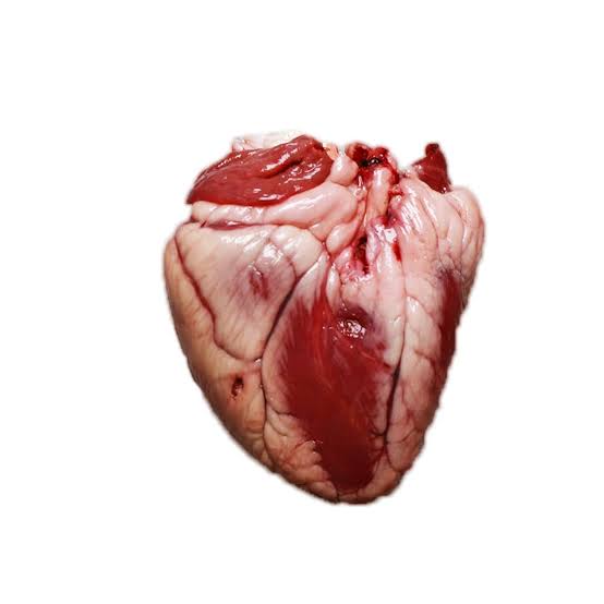Raw Lamb Hearts