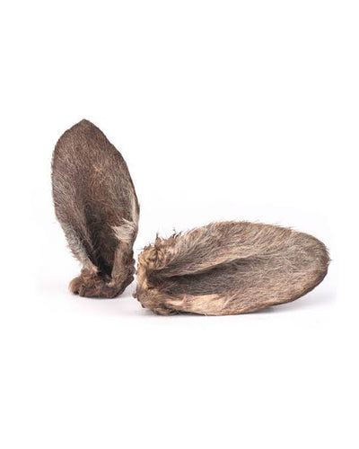 Raw Kangaroo Ears