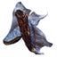 Shark Pieces