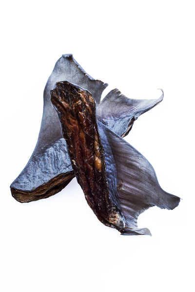 Shark Pieces