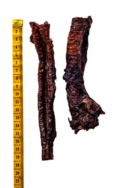 Roo Trachea