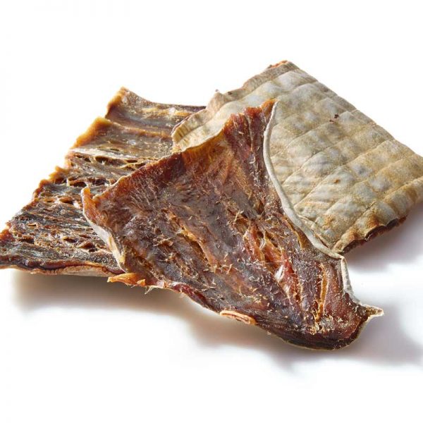 Raw Shark Skin