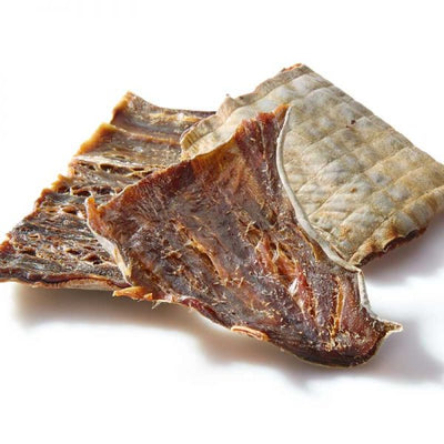 Raw Shark Skin